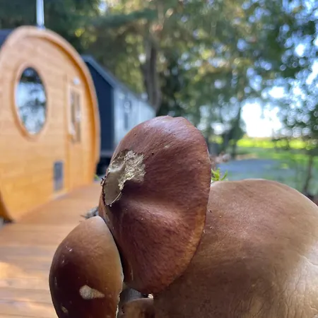 Maringotka U Lesa Lodge Stankovice (Kutna Hora)