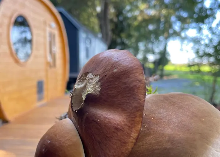 Maringotka U Lesa Lodge Stankovice (Kutna Hora)