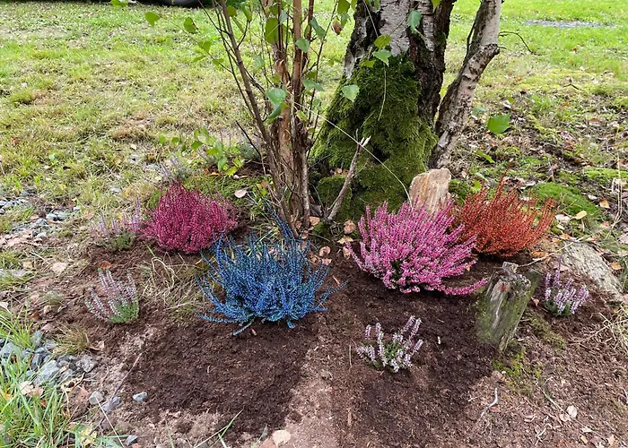 Maringotka U Lesa * Stankovice (Kutna Hora)